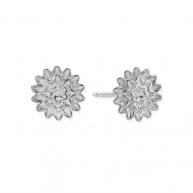 Botanical Beauty Stud Earrings SEST3298ChloBoSEST3298