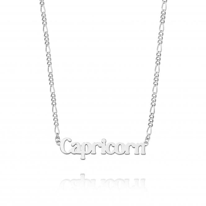 Capricorn Zodiac Recycled Sterling Silver Necklace ZN10_SLVDaisyZN10_SLV