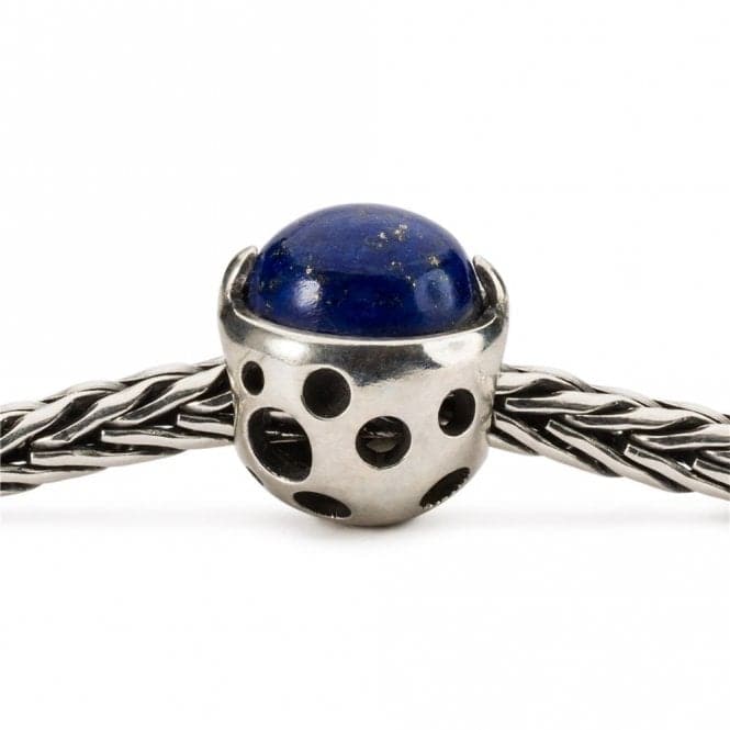 Cradle of Knowledge Sterling Silver Bead TAGBE - 00283TrollbeadsTAGBE - 00283