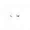 Crescent Moon and Star Stud Earrings 4766HPDew4766HP