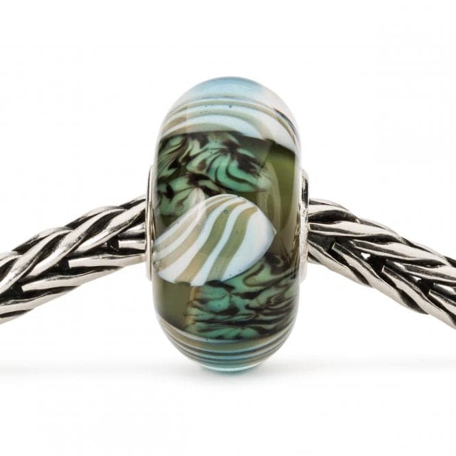 Curious Clams Glass Bead TGLBE - 20280TrollbeadsTGLBE - 20280