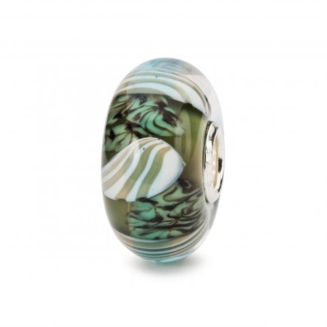 Curious Clams Glass Bead TGLBE - 20280TrollbeadsTGLBE - 20280