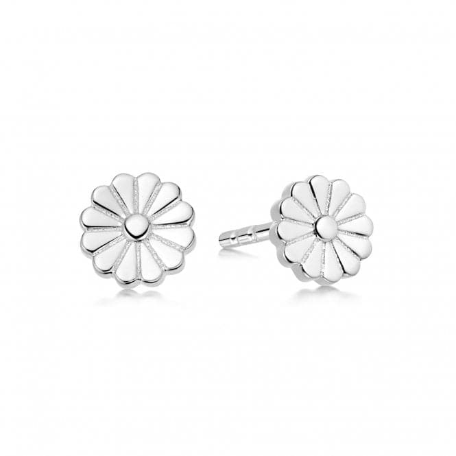 Daisy Bloom Stud Sterling Silver Earrings ST01_SLVDaisyST01_SLV