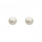 Dew Silver Freshwater Button Pearl 5.5mm Stud Earrings 3012FPDew3012FP