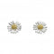 Dew Sterling Silver Dinky Daisy with Gold Plate Stud Earrings 4082GDG020Dew4082GDG020