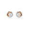 Dextera Rose Gold - Tone White Round Cut Stud Earrings 5692258Swarovski5692258