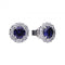 Diamonfire Silver Blue Zirconia Round Earrings E5598DiamonfireE5598