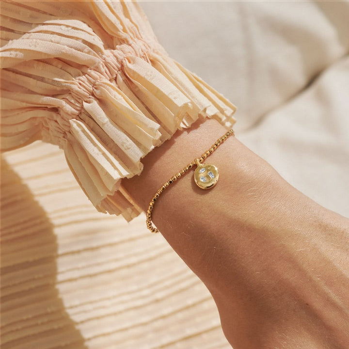 Dolce Vita Collect Adventures Gold Plated Bracelet 8499Joma Jewellery8499