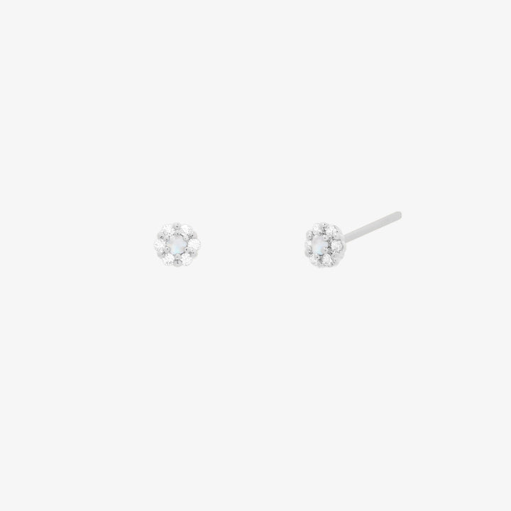 Tiny Flower Sparkle Earrings-4