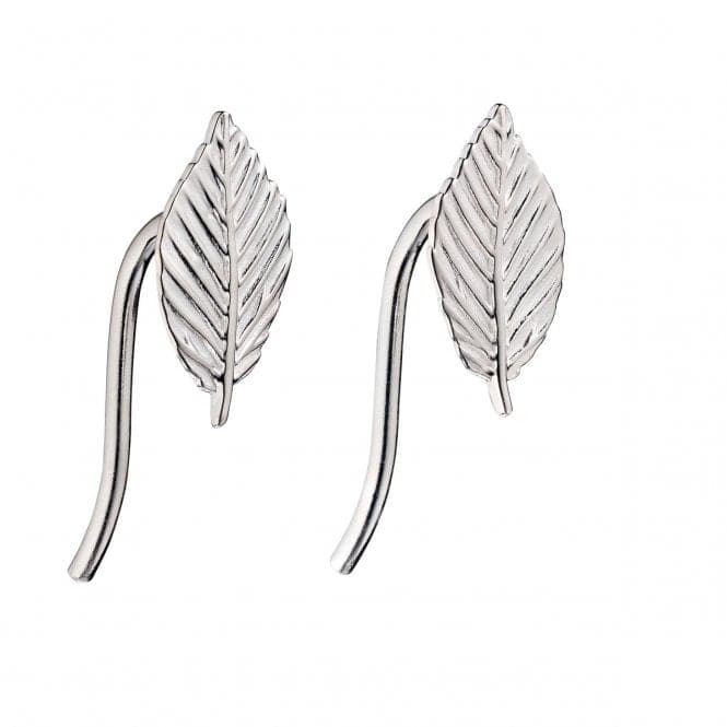 Elements Silver Leaf Earrings E5687BeginningsE5687