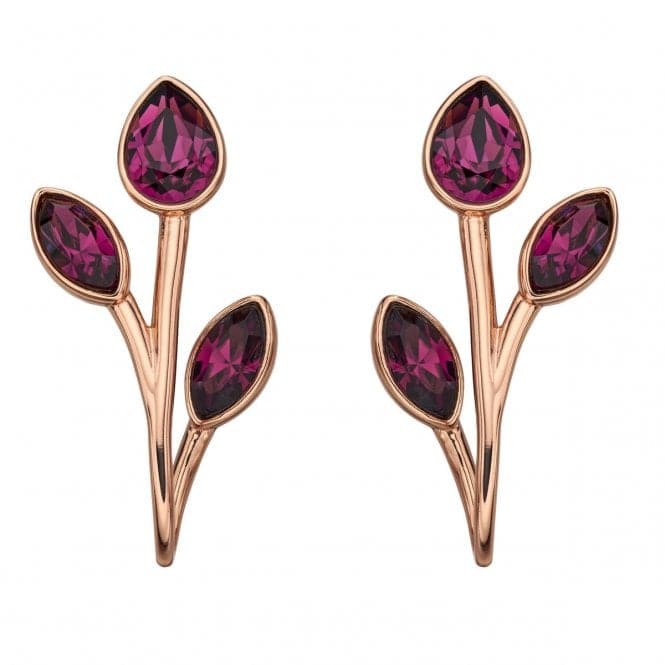 Elements Silver Rose Gold Amethyst Swarovski Front Back Earrings E5730MBeginningsE5730M