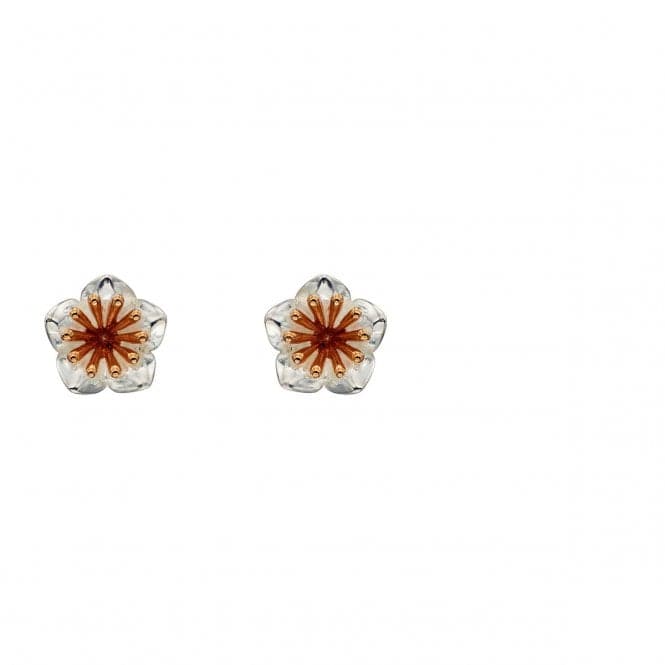Elements Silver Silver Chrysanthemum Flower Rose Gold Details Earrings E5668BeginningsE5668