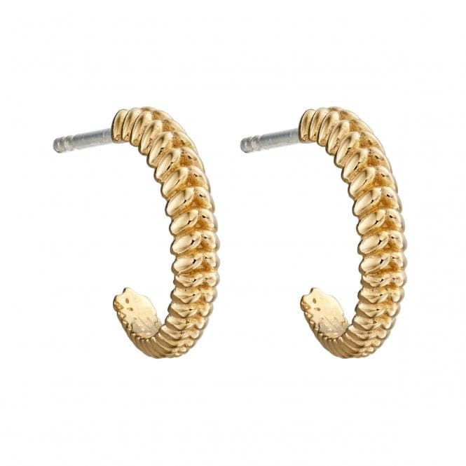 Elements Silver Wheat Hoop Earrings E5703BeginningsE5703