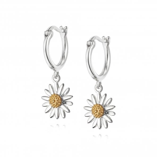 English Daisy Drop 10mm Earrings E2007DaisyE2007