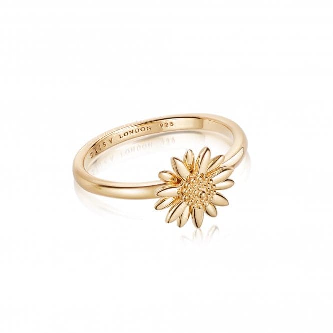 English Daisy Rope 18ct Gold Plated Ring SR512_GPDaisySR512_GP_L