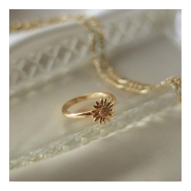 English Daisy Rope 18ct Gold Plated Ring SR512_GPDaisySR512_GP_L