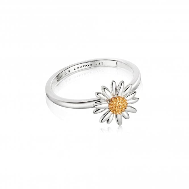 English Daisy Silver Ring SR512DaisySR512_L