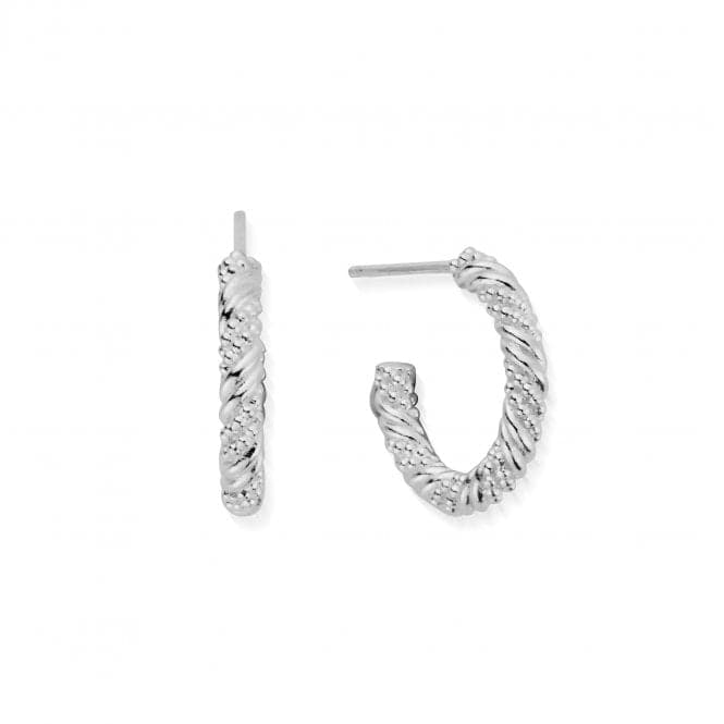 Entwined Passion Hoop Earrings SEH3208ChloBoSEH3208