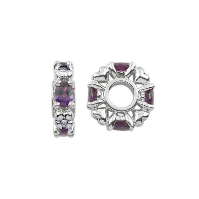 February Birthstone Wheel Charm S348A