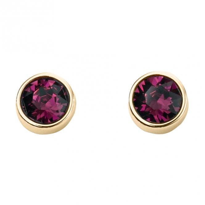 February Yellow Gold Plated Birthstone Earrings with Swarovski Crystal E1538BeginningsE1538