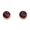 February Yellow Gold Plated Birthstone Earrings with Swarovski Crystal E1538BeginningsE1538