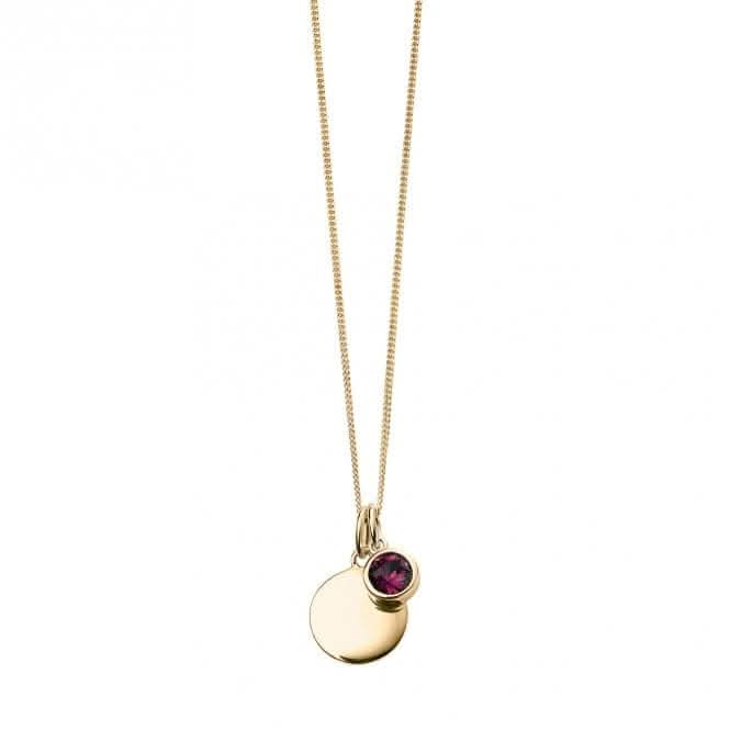 February Yellow Gold Plated Birthstone Engravable Disc Necklace P5009