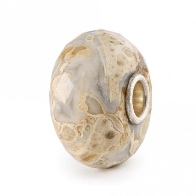 Fossilised Wood Bead TSTBE - 20042TrollbeadsTSTBE - 20042