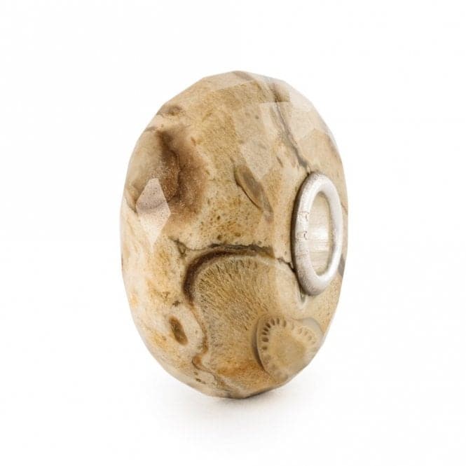 Fossilised Wood Bead TSTBE - 20042TrollbeadsTSTBE - 20042