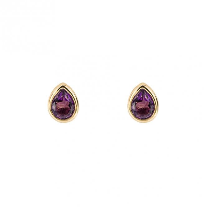 Gold Plated Birthstone February Amethyst Earrings E6203BeginningsE6203