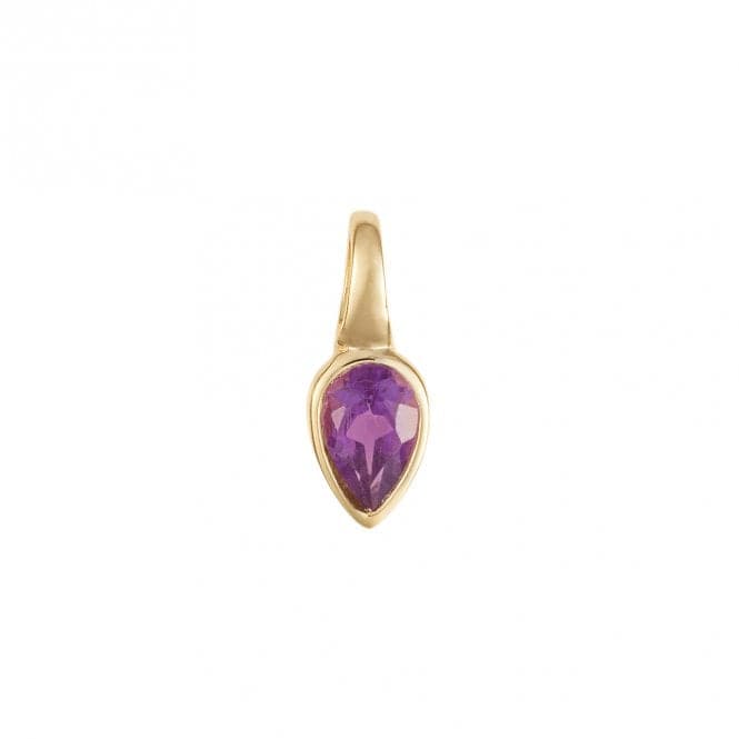 Gold Plated Birthstone February Amethyst Pendant P5215BeginningsP5215