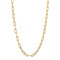Gold Plated Link Chain Charm Carrier Necklace N4525BeginningsN4525