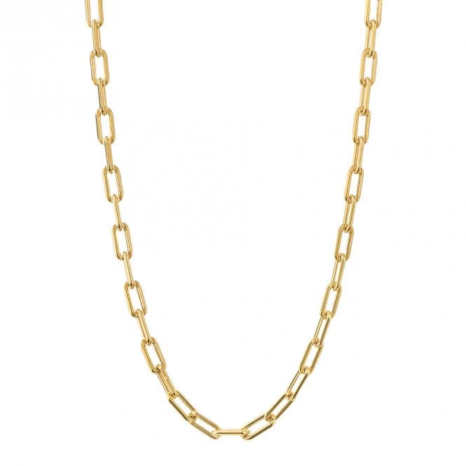 Gold Plated Link Chain Charm Carrier Necklace N4525BeginningsN4525