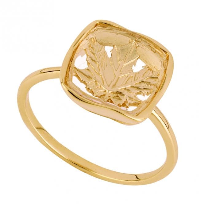 Gold Plated Open Square Leaf Pattern Ring R3833BeginningsR3833 50