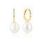 Gold Plated Padua Uno Earrings SJ - E2443 - PCZ - YGSif JakobsSJ - E2443 - PCZ - YG