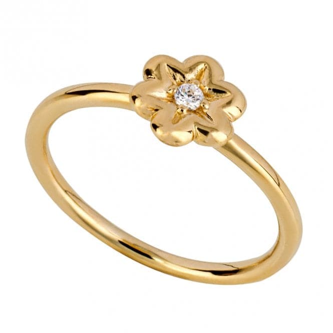 Gold Plated Zirconia Flower Ring R3831CBeginningsR3831C 50