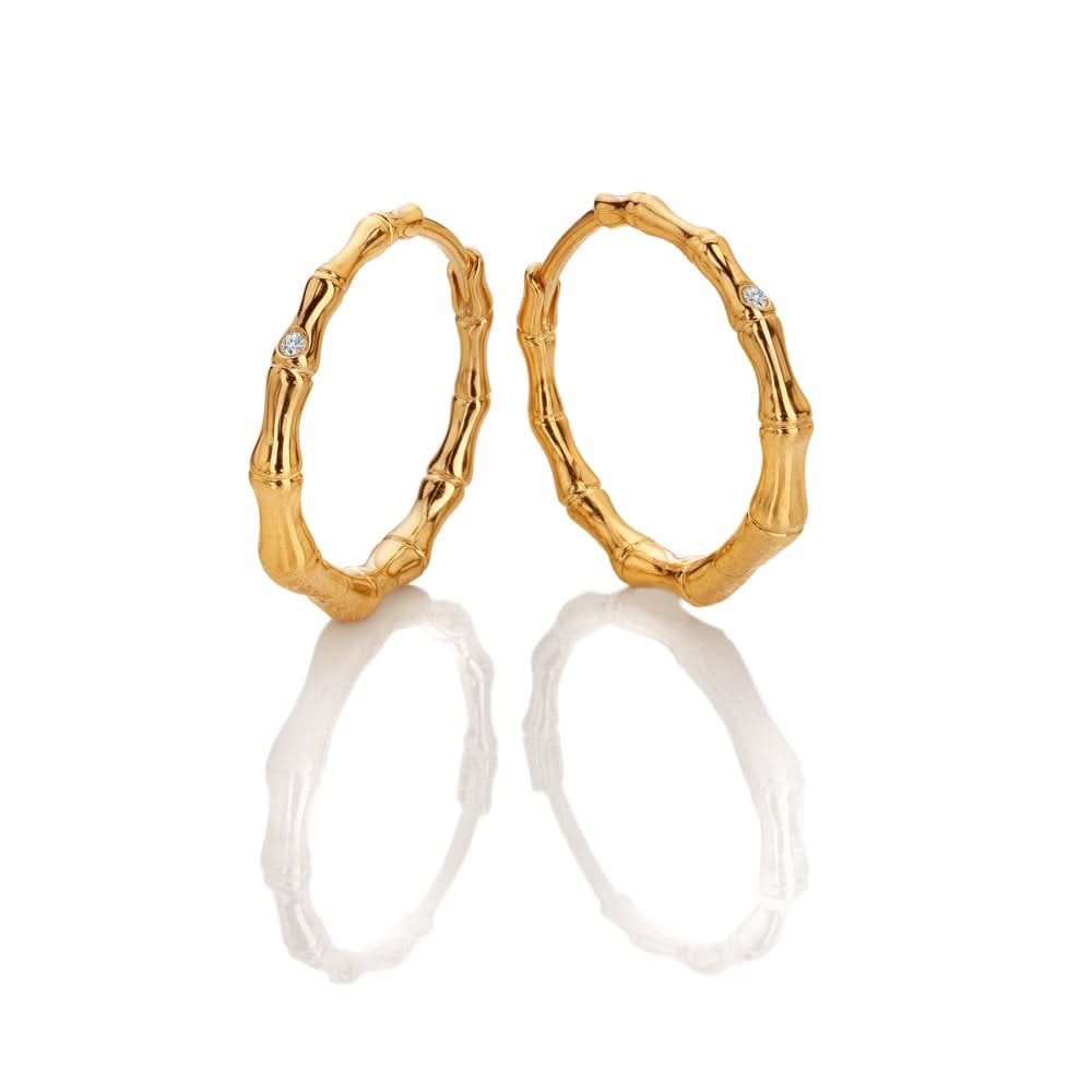 Hd X Ge Bondi Hoop Earrings DE842