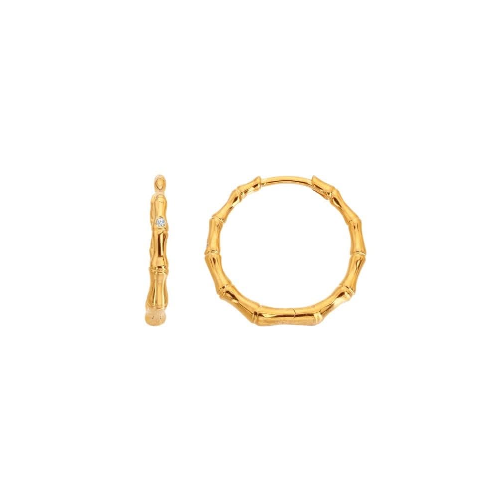 Hd X Ge Bondi Hoop Earrings DE842