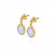 Horizontal Oval Blue Lace Agate Earrings DE776Hot Diamonds x GemstonesDE776