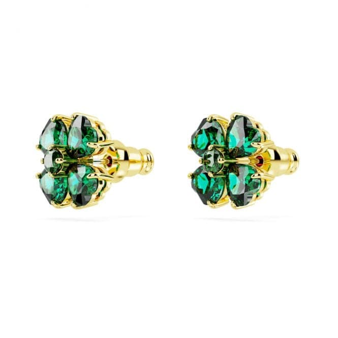 Idyllia Green Gold - tone Plated Clover Stud Earrings 5666236Swarovski5666236