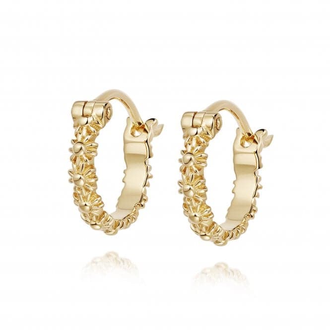 Iota Daisy Hoop 18ct Gold Plated Earrings E5016_GPDaisyE5016_GP