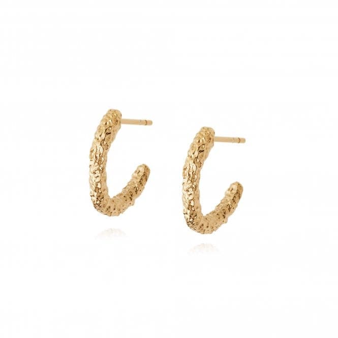 Isla Coral Midi Hoop 18ct Gold Plated Earrings SE03_GPDaisySE03_GP