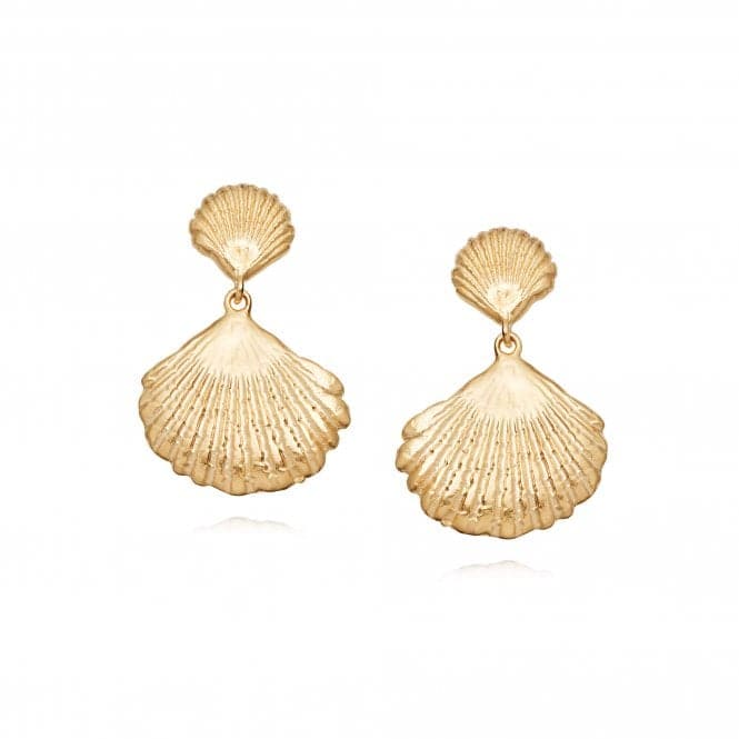 Isla Double Shell 18ct Gold Plate Earrings SE07_GPDaisySE07_GP