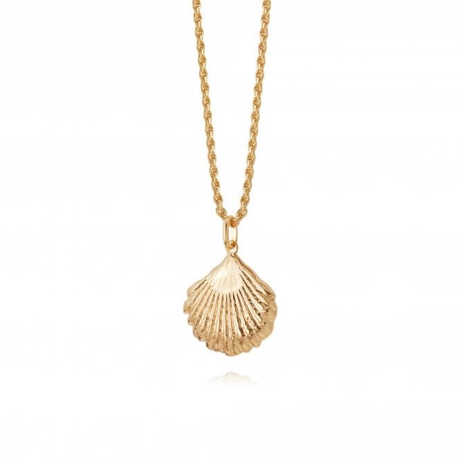 Isla Large Shell 18ct Gold Plate Necklace SN04_GPDaisySN04_GP