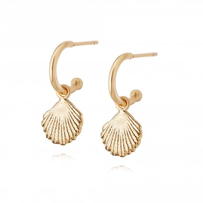 Isla Shell Drop 18ct Gold Plate Earrings SE06_GPDaisySE06_GP