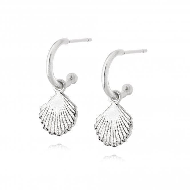 Isla Shell Drop Sterling Silver Earrings SE06_SLVDaisySE06_SLV