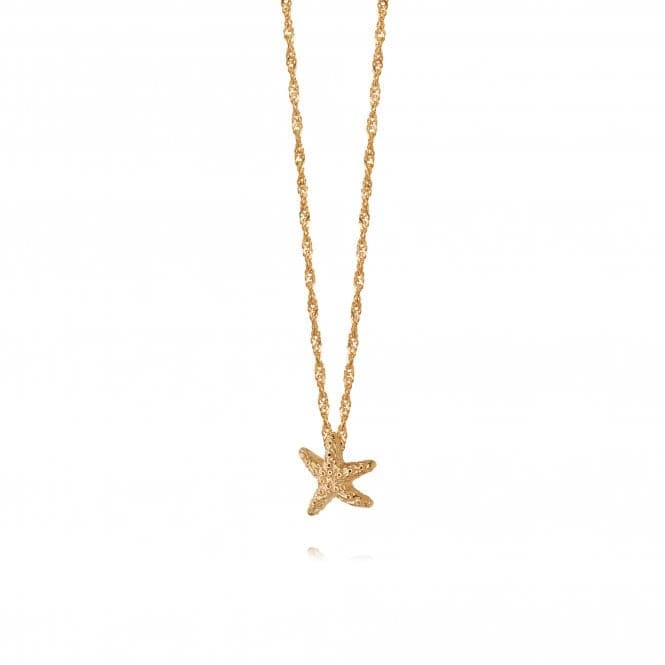 Isla Starfish Chain 18ct Gold Plate Necklace SN07_GPDaisySN07_GP