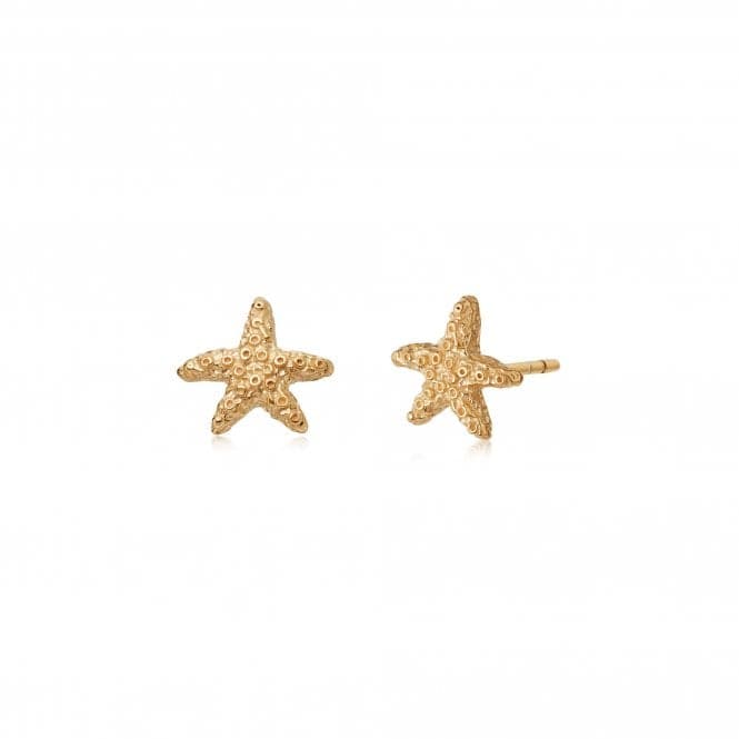 Isla Starfish Stud 18ct Gold Plate Earrings SE08_GPDaisySE08_GP