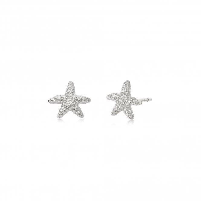 Isla Starfish Stud Sterling Silver Earrings SE08_SLVDaisySE08_SLV
