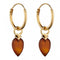 January Yellow Gold Plated Birthstone Chalcedony Stone Hoop Charm Earring Y2661BeginningsY2661