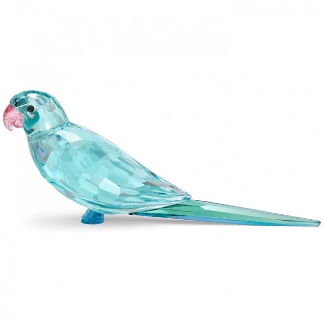 Jungle Beats Blue Parakeet Paco 5574519Swarovski5574519